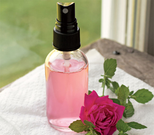 DIY - Rose Window Cleaner for Perfect Clean Windows DIY - Rose Window Cleaner for Perfect Clean Windows